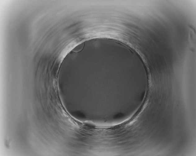 X0000102511529200808151534