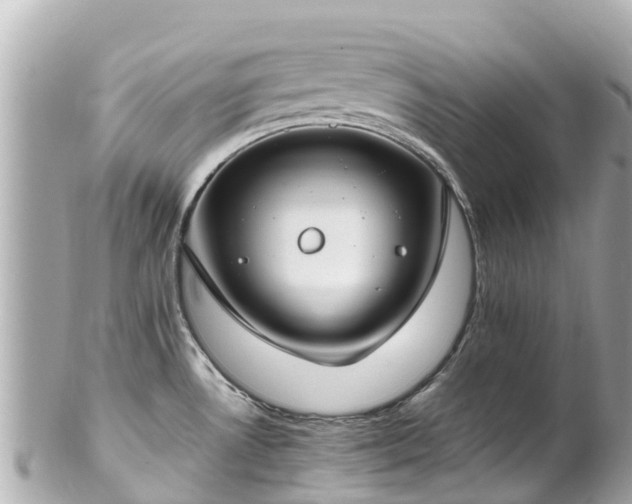 X0000102511530200808151534