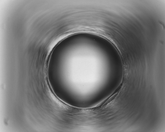 X0000102511531200808151534