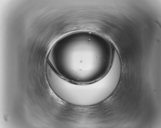 X0000102511532200808151534