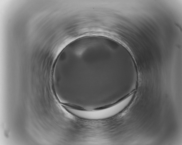 X0000102511533200808151534