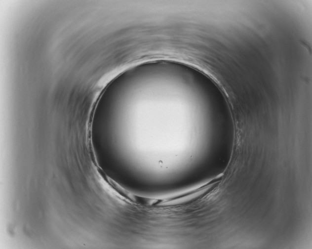 X0000102511535200808151534