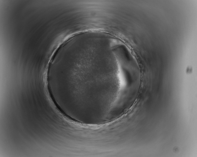 X0000102510002200808221829