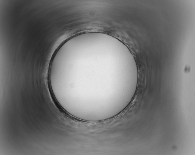 X0000102510003200808221828