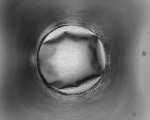 X0000102510004200808221828