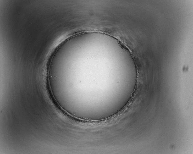 X0000102510005200808221828