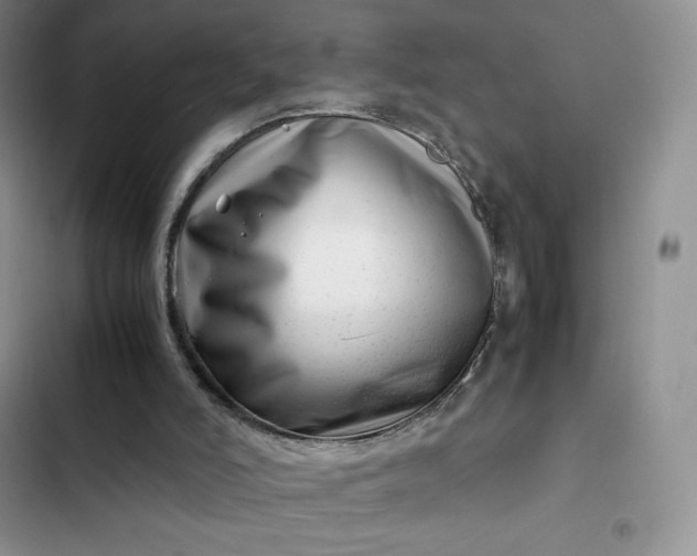 X0000102510006200808221828
