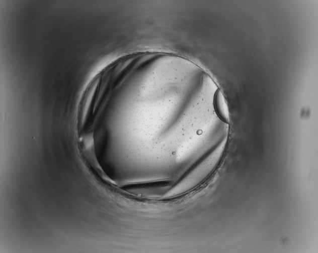 X0000102510008200808221828