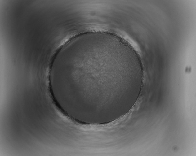 X0000102510009200808221828