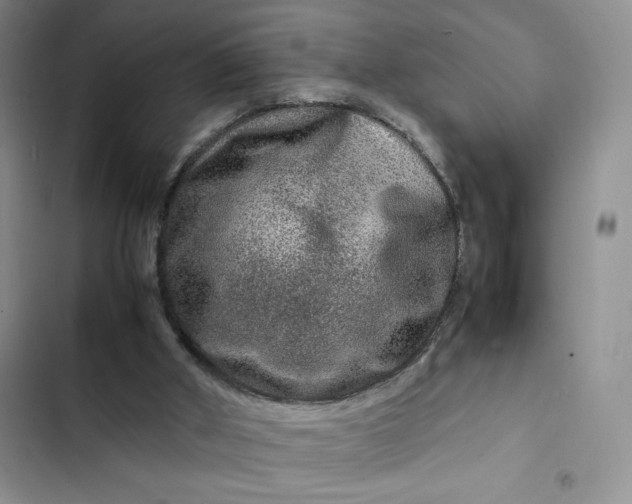 X0000102510010200808221828