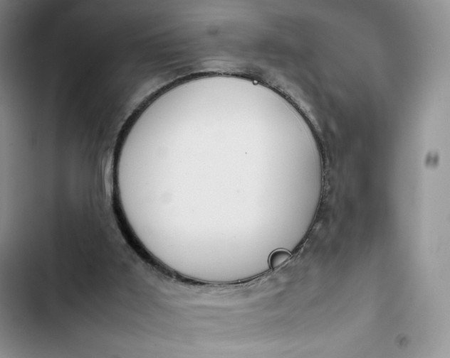 X0000102510011200808221828