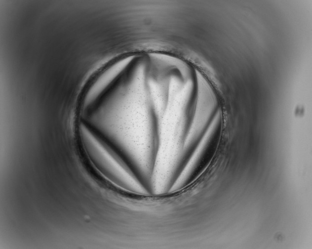 X0000102510012200808221828