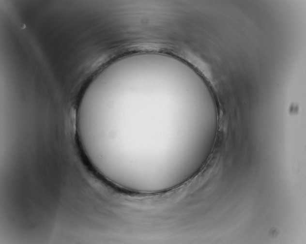 X0000102510013200808221828
