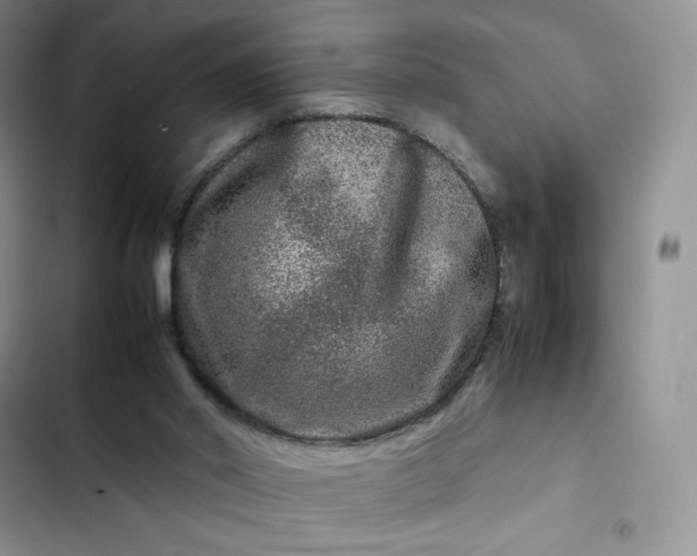 X0000102510014200808221828