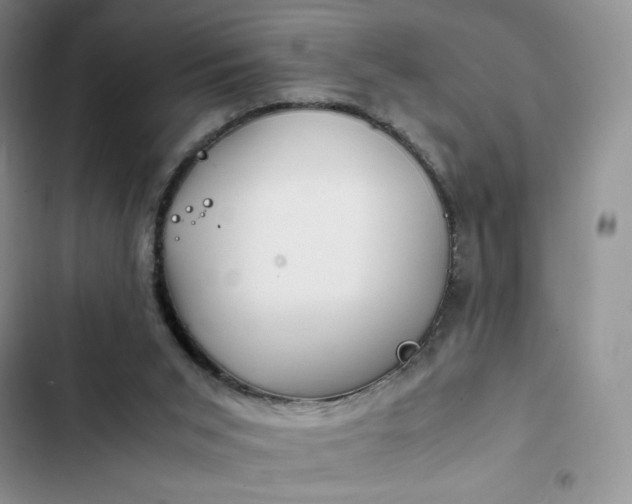 X0000102510015200808221828