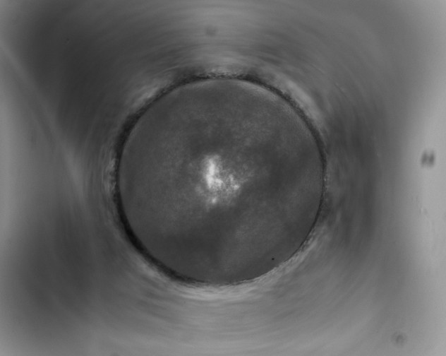 X0000102510017200808221828