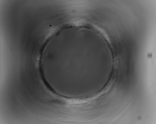 X0000102510018200808221828