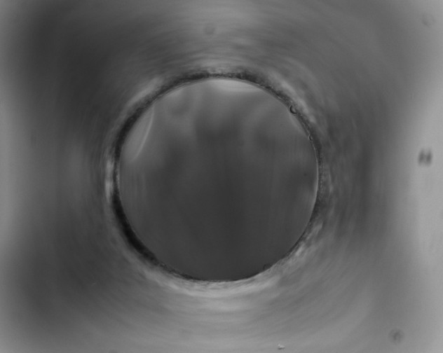 X0000102510019200808221828