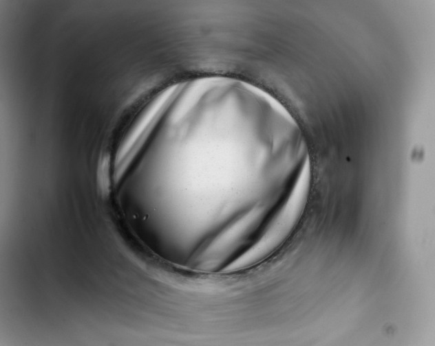 X0000102510020200808221828