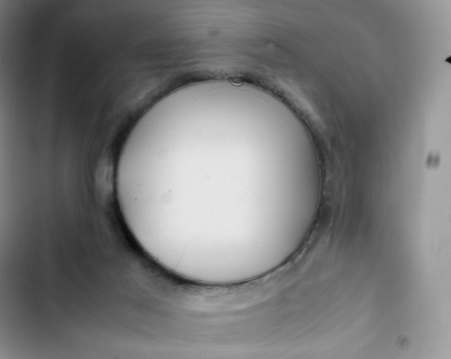 X0000102510021200808221828