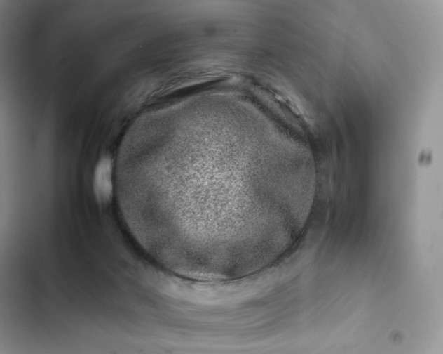 X0000102510022200808221828
