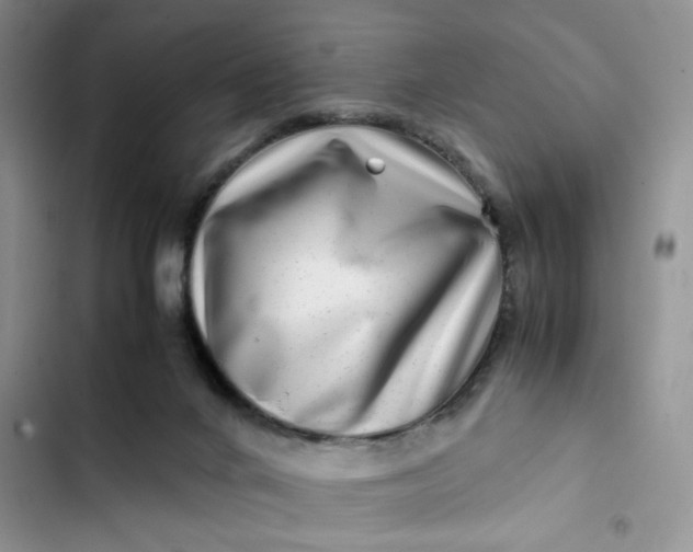 X0000102510024200808221828