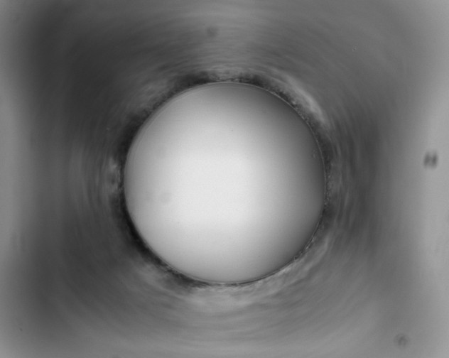 X0000102510025200808221828