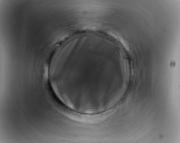 X0000102510027200808221828