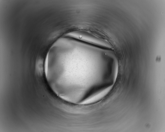 X0000102510028200808221828