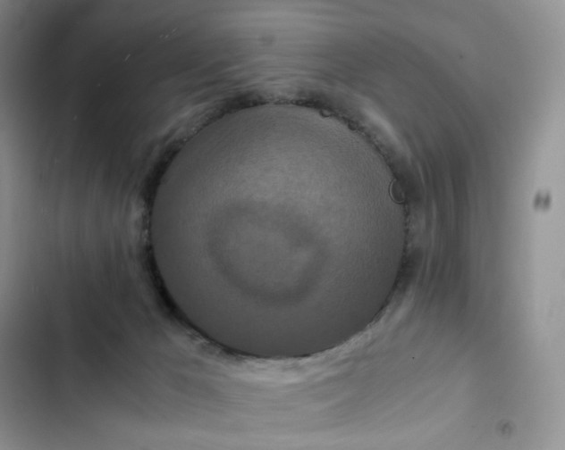 X0000102510029200808221828