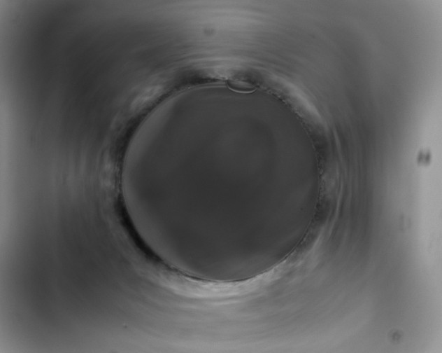 X0000102510031200808221828