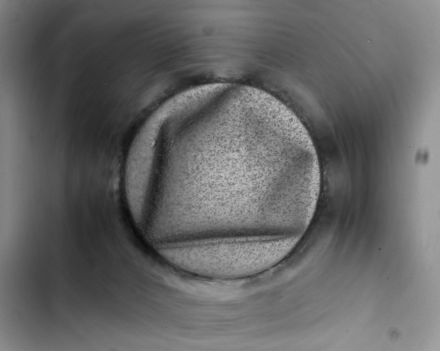 X0000102510032200808221828