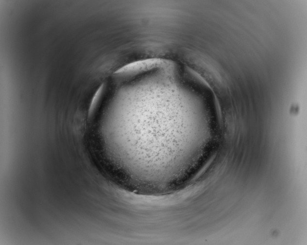 X0000102510034200808221828