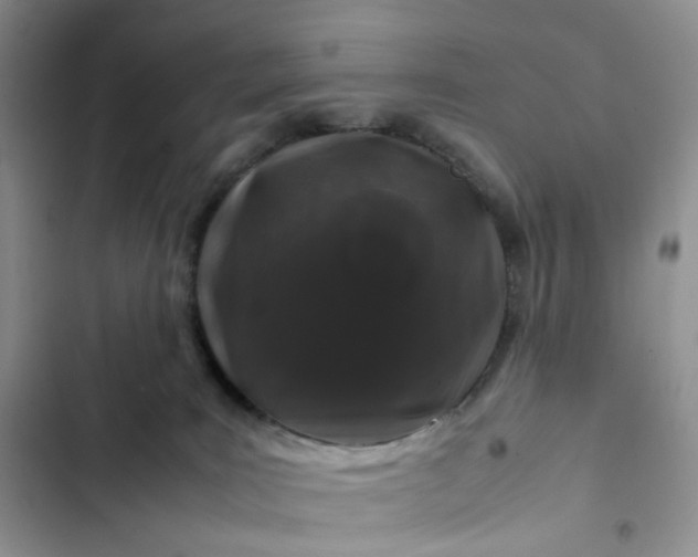 X0000102510035200808221828