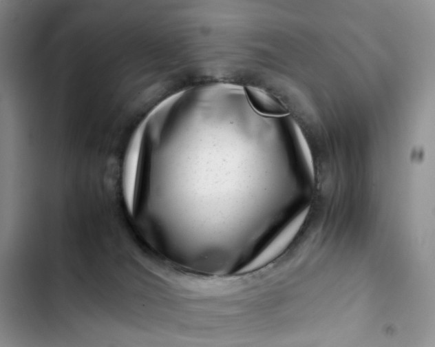 X0000102510036200808221828