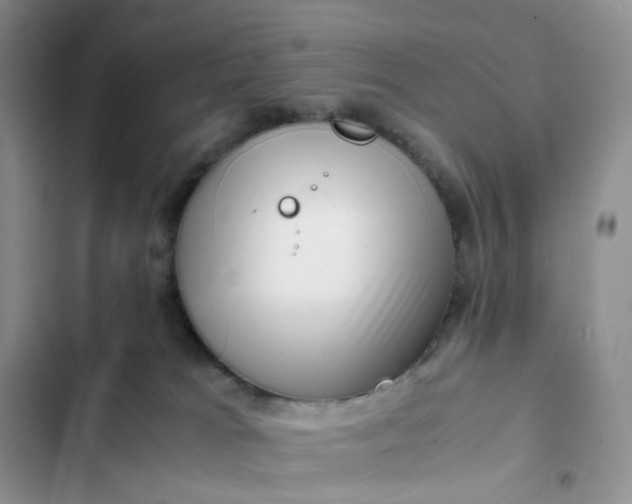 X0000102510037200808221828