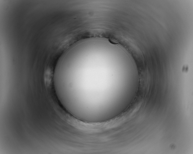 X0000102510038200808221828