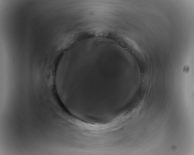 X0000102510039200808221828