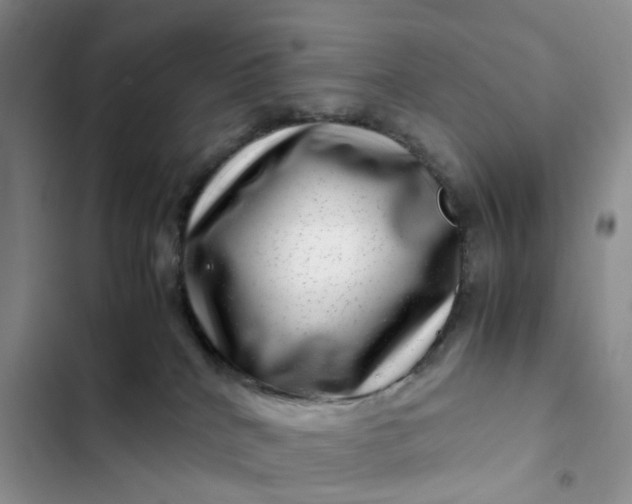 X0000102510040200808221828