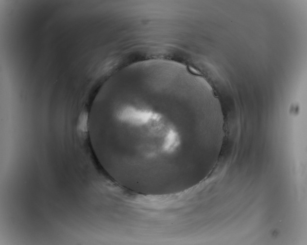 X0000102510041200808221828
