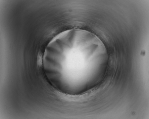 X0000102510042200808221828