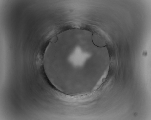 X0000102510043200808221828