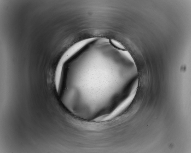 X0000102510044200808221828