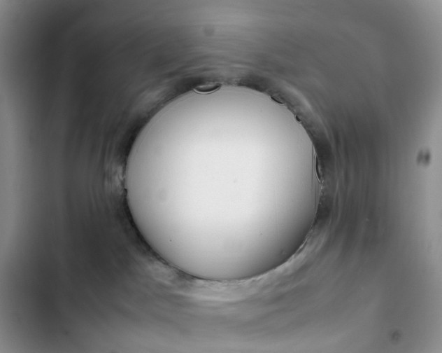 X0000102510045200808221828