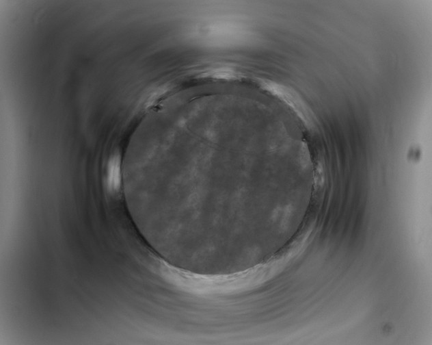 X0000102510046200808221828