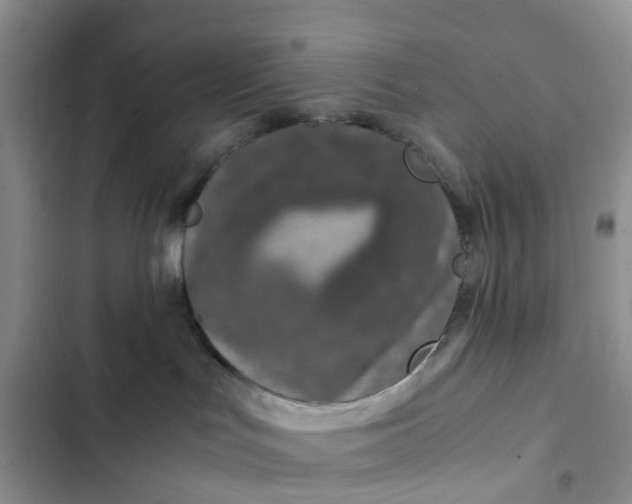 X0000102510047200808221828