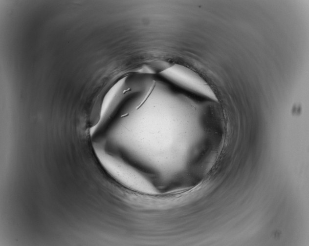 X0000102510048200808221828