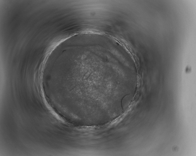 X0000102510049200808221827