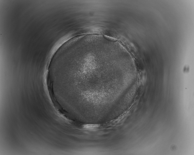 X0000102510051200808221827