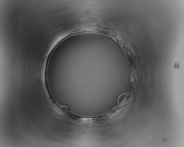 X0000102510052200808221827